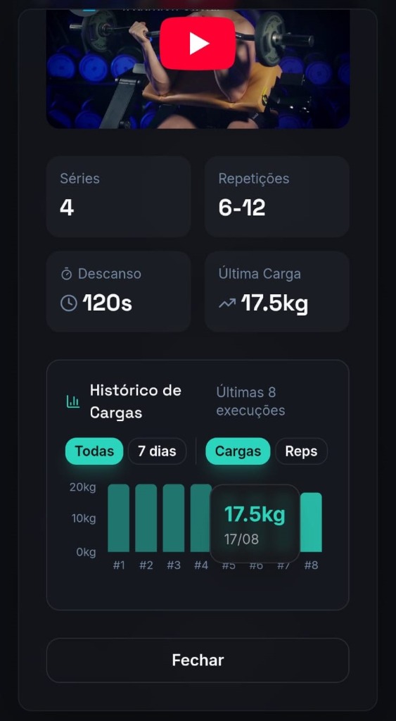 Gráfico de Cargas & Peso - Histórico de Cargas